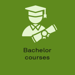 Button Bachelor courses